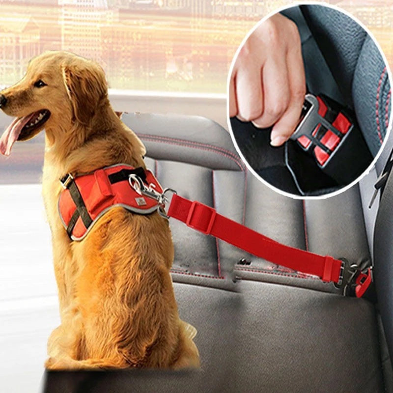 Pet Sitbelt